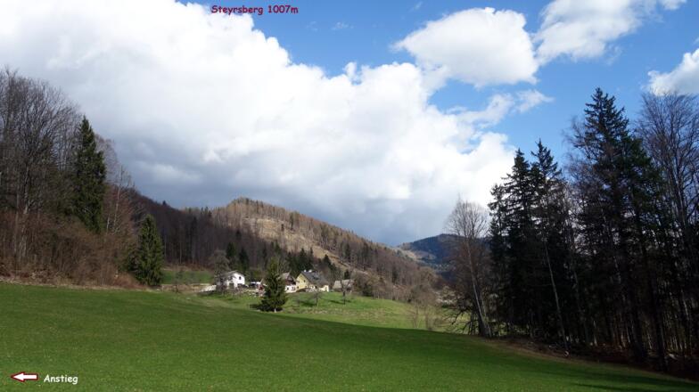 Anstieg links über die Wiese