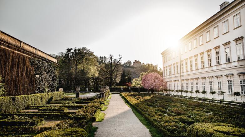 Menschenleerer Mirabellgarten