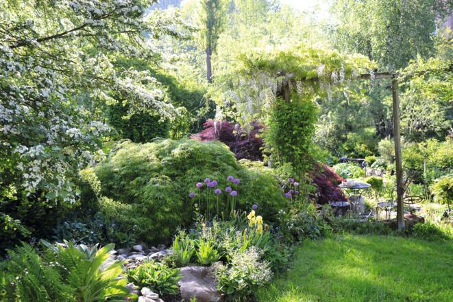 Gartenkräuter und Stauden