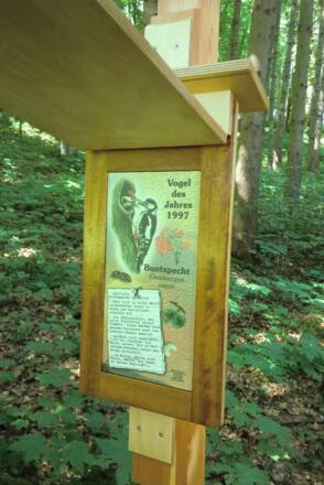 Station 5: Vogelbestimmungskästen