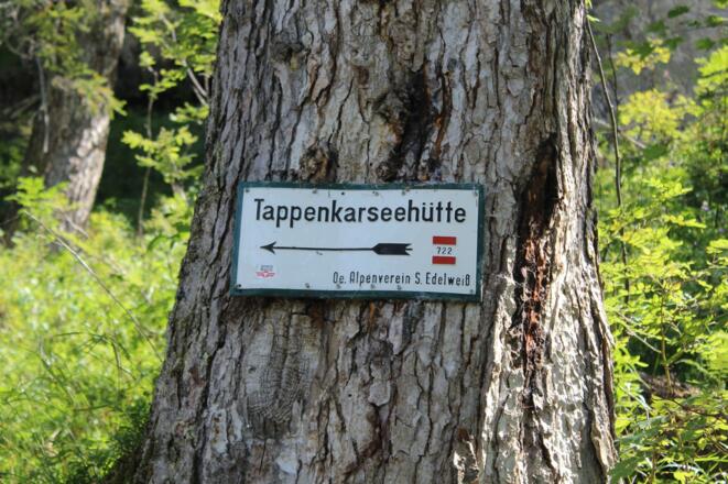 Der ganze Weg ist gut beschildert