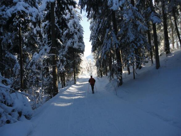 Winterwandern