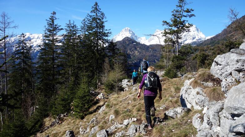 Vom Poppenberg 860m zurück zur Aussichtsplattform 810m