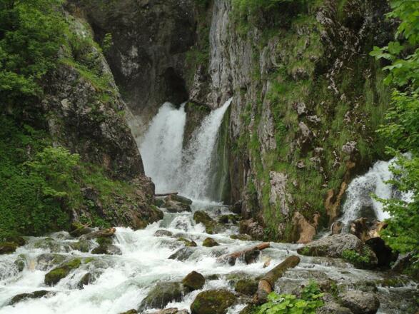 Dachserfall in Abtenau