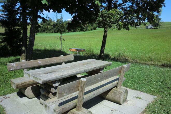 Station 4: Waldboden mit Infotafel