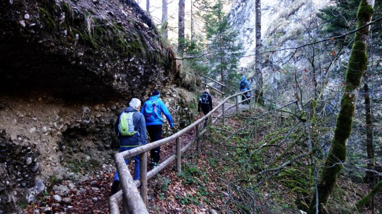 Abstieg zum Südufer der Steyr