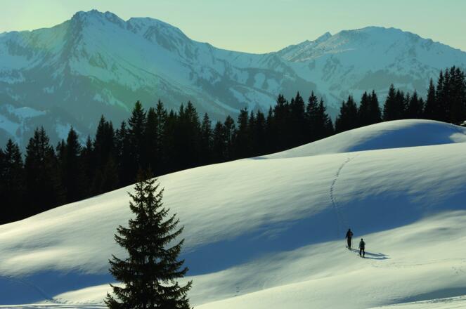 Füssener Jöchle Liftgesellschaft Grän Bergbahn