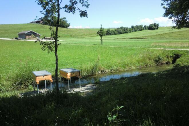 Station 4: Waldboden mit Infotafel