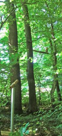 Station 7: Ziel-Fernrohr