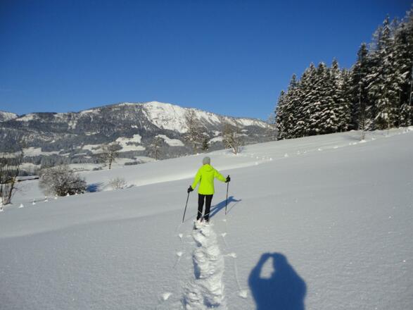 Schneeschuhwandern