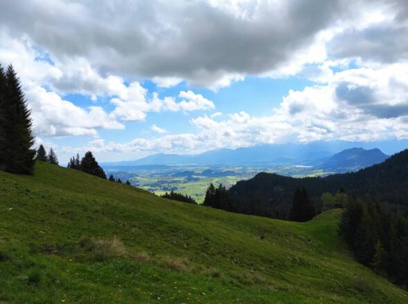 Ausblick Kappeler Alp