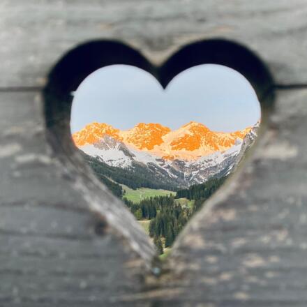 Drei Schafalpköpfe Herz