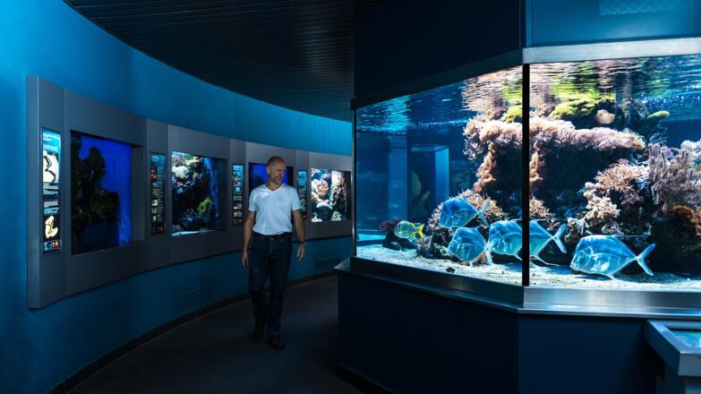 Aquarium im Haus der Natur