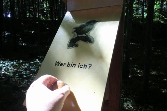 Station 5: Vogelbestimmungskästen