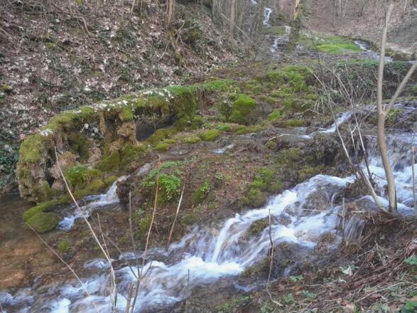 Kulturerlebnis Fränkische Schweiz: Streitberg Wedenbach