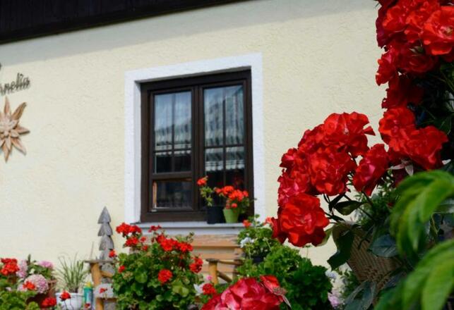 Aussenansicht im Sommer