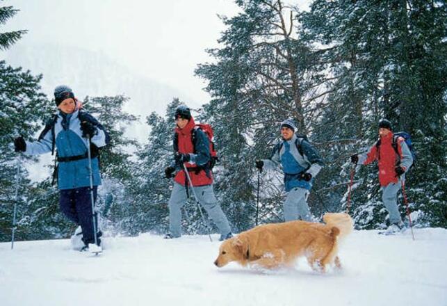 Haus Cornelia Bild für Fotogalerie