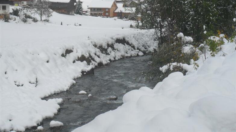 Winter 2013 025