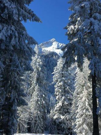 Winter im Classic-Gebiet