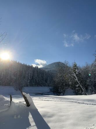 Winterlandschaft in der Nähe von Grießen