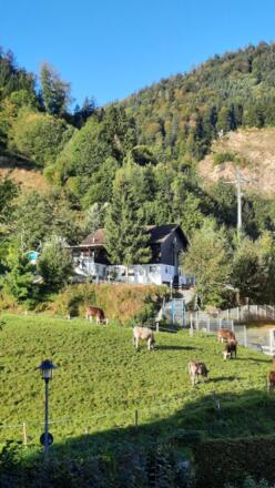 Balkonblick über Kuhweide zur MittagbahnTalstation