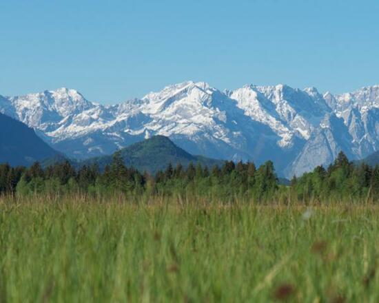 Übers Murnauer Moos