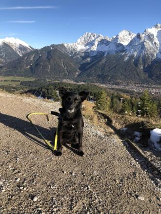 Hoher Kranzberg Mittenwald