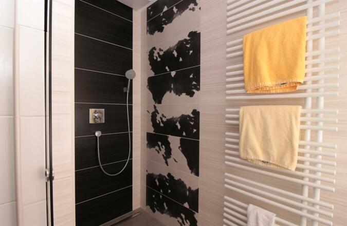 Chalet - Dusche komplett