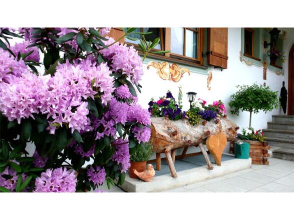 Blumen vor unserem Haus
