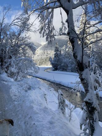 Winterlandschaft bei Grießen