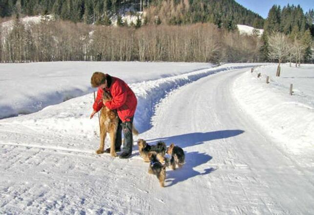 Haus Cornelia Bild für Fotogalerie