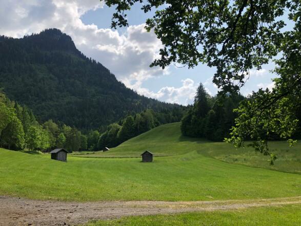 Lieblingsplatz - lange Böden