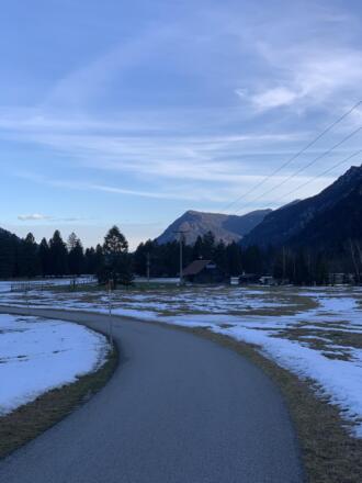 Föhrenheide Blick Richtung Murnau