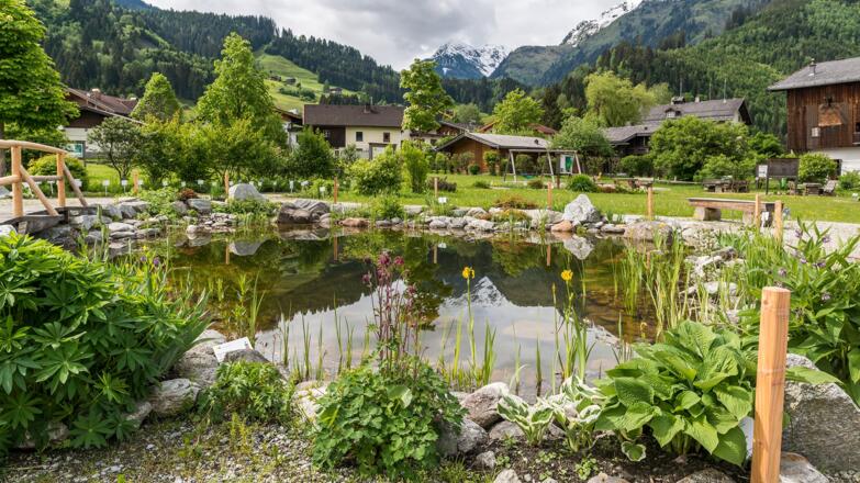 Biotop im Hollersbacher Kräuterkarten