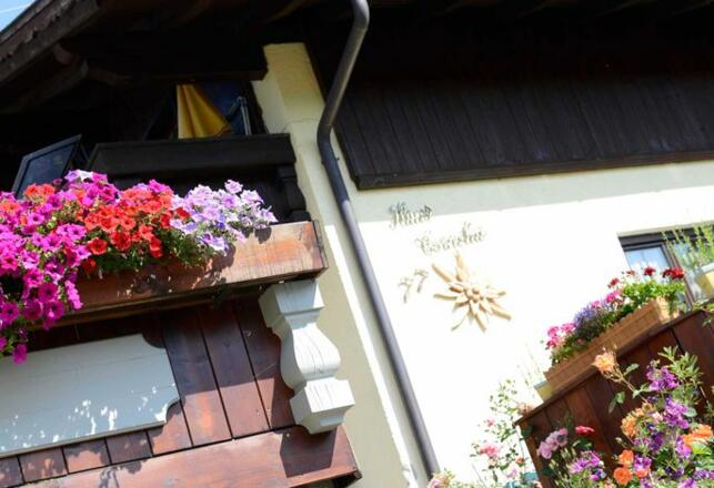 Aussenansicht im Sommer