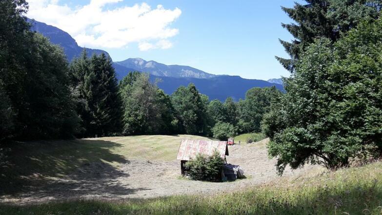 Unsere Wiese bei der Heuernte