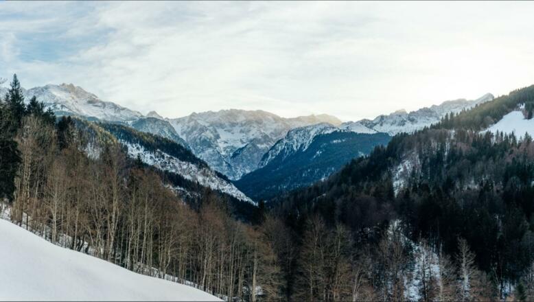 Annotation 2020-10-29 133646