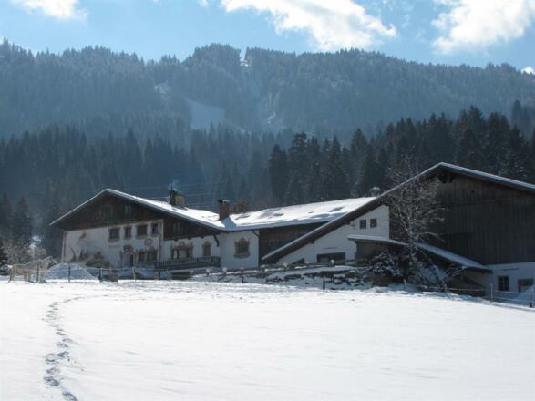 Winter 2-2009 018