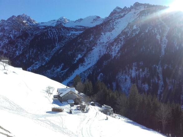 Unser Paradies Häsischa