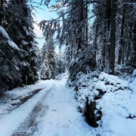 Wanderweg Richtung Eibsee