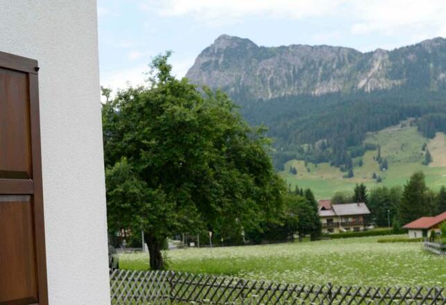 Aussenansicht im Sommer