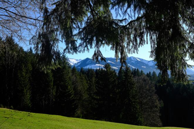 Blick auf die Sonnenköpfe