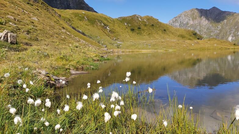 Hacklsee - ein wunderschöner Bergsee zum Entspannen