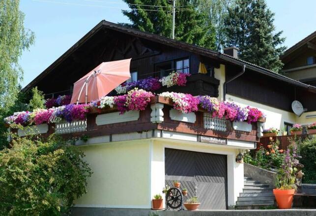 Aussenansicht im Sommer