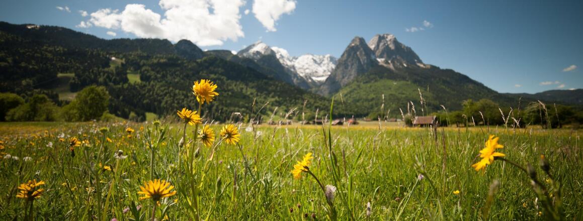 Gaestehaus Riesch_2560px_001