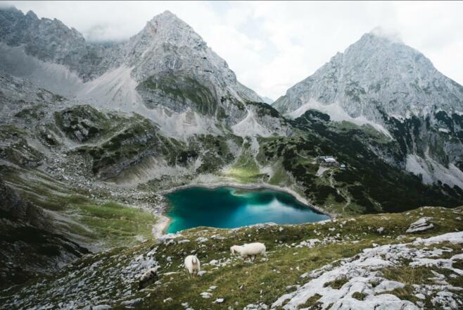 Annotation 2020-10-29 133304