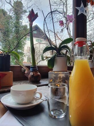 Frühstücksblick