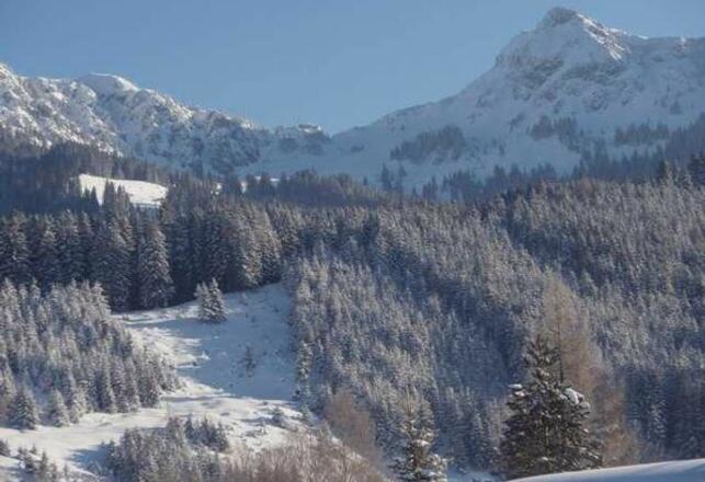 Schädle Petra und Günther