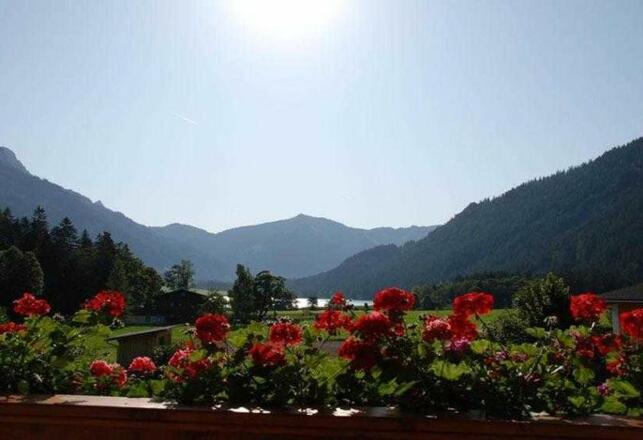 Balkon mit Traum-Aussicht