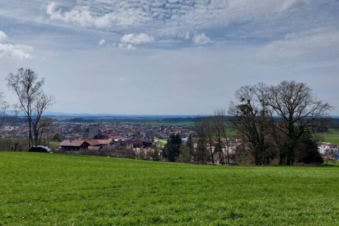 Ausblick auf Halfing